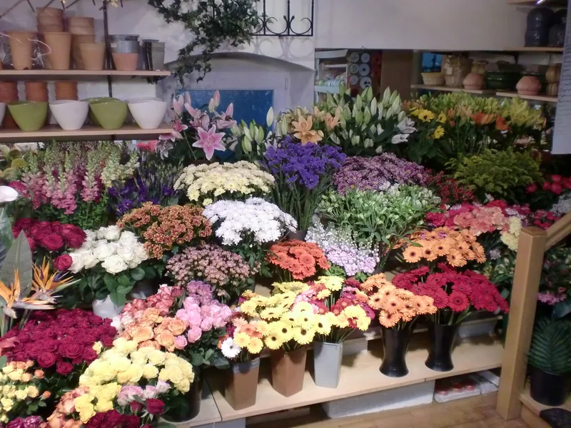 Schnittblumen in Eimern im Verkaufsraum: Gerbera, Lilien, Chrysanthemen
